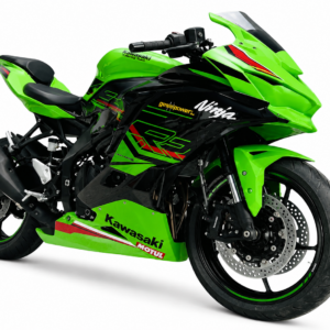 Kawasaki Race Fairings – Custom Painted Design 4