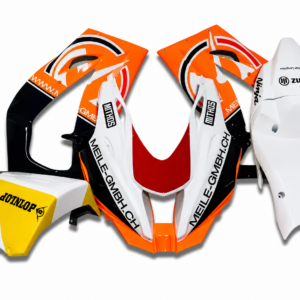 Kawasaki Race Fairings – Custom Painted Design 8